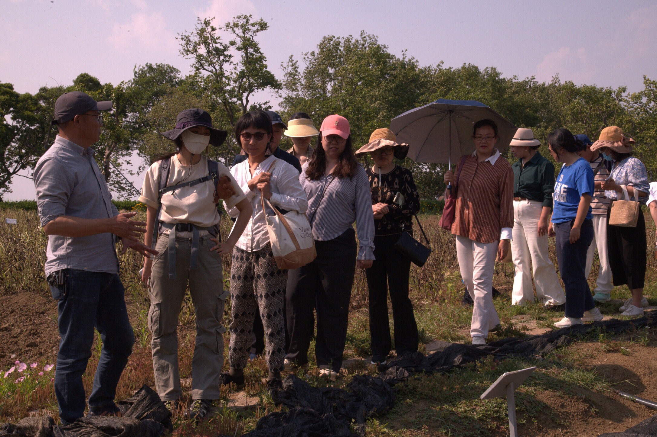 Experimental crops adapting to local conditions