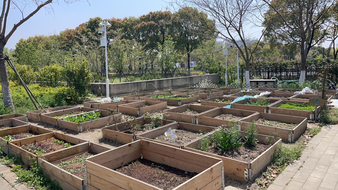 The newly installed planting boxes